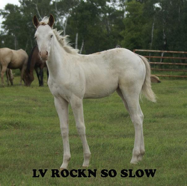 LV ROCKN SO SLOW